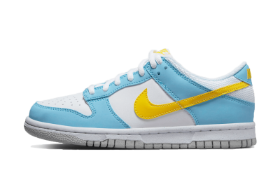 Nike Dunk Low Next Nature GS Homer Simpson DX3382 400