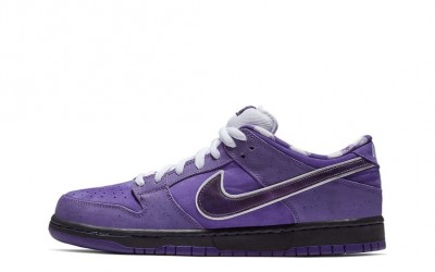 NIKE SB DUNK LOW CONCEPTS PURPLE LOBSTER BV1310 555