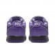 NIKE SB-DUNK LOW CONCEPTS PURPLE LOBSTER